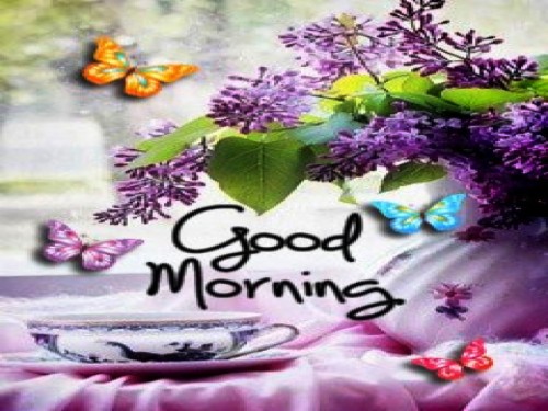 List Of Free Good Morning 3d Free Download Wallpapers Download