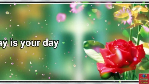 Nimra So Cute Beautiful Whatsapp Status Good Morning Princess Hd Hd Wallpaper Backgrounds Download