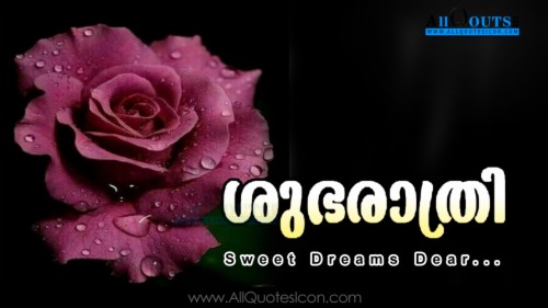 Beautiful Malayalam Good Night Greetings Images Top Tamil