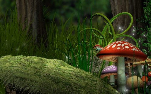 3D Mushroom Garden Live Wallpaper Descarga Para Pc : Mushroom Hd Live