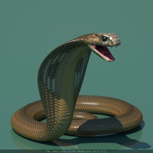 Snake King Cobra, Snake, Image File Formats, Animals, - Snake Clipart ...