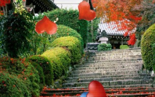 Kyoto Japanese Garden High Resolution Zen Garden 910743 Hd