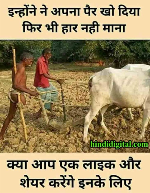 Best Comment For Fb Jai Jawan Jai Kisan Quotes 984340